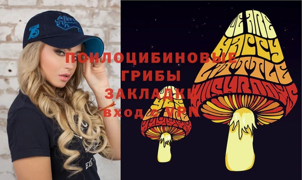 мет Белокуриха