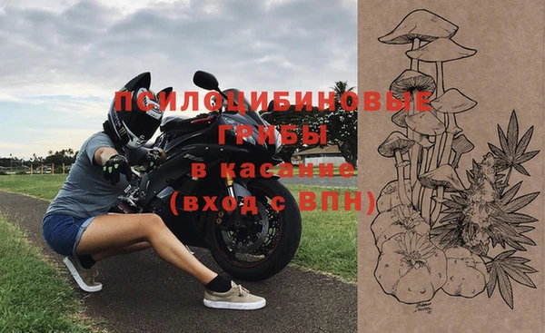 мет Белокуриха